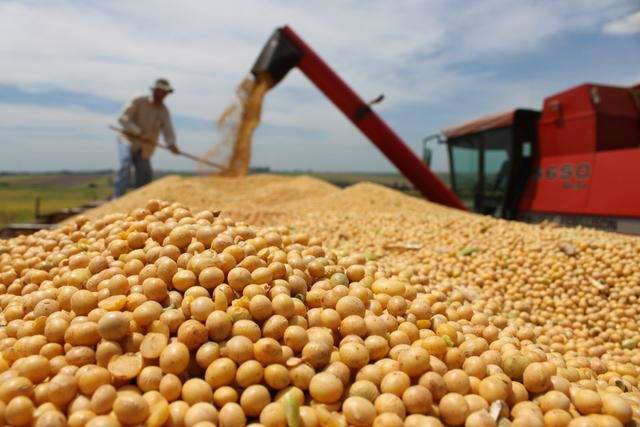 中国增买俄罗斯大豆！中企斥资25亿元助俄提高大豆生产和出口能力